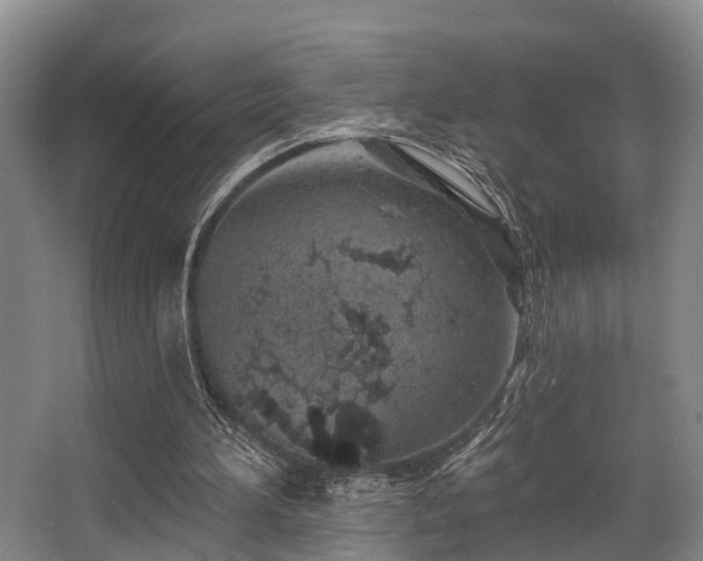 X0000068270196200604241307