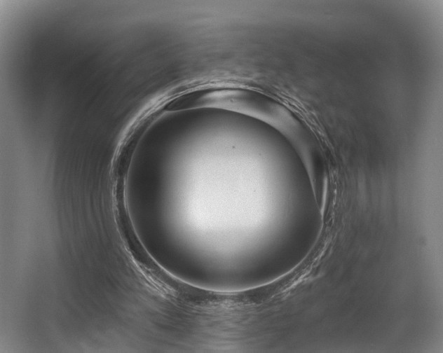 X0000068270197200604241307