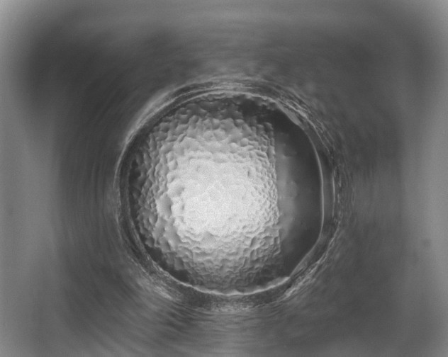 X0000068270198200604241306