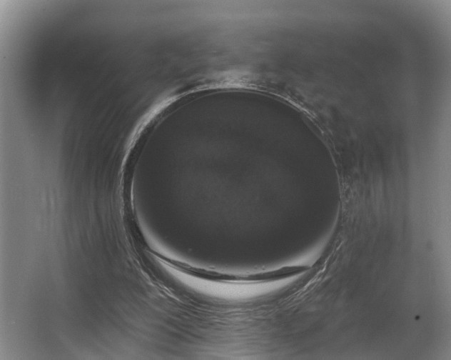 X0000068270200200604241306