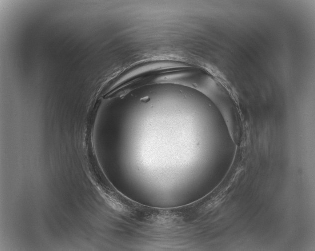 X0000068270201200604241306