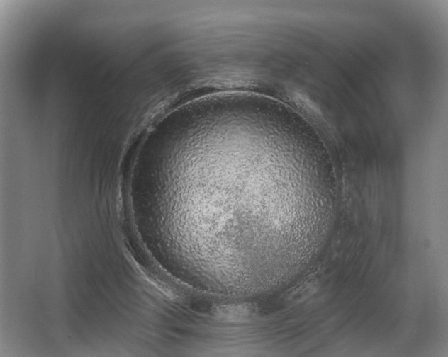 X0000068270202200604241306