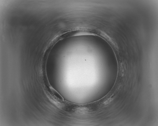 X0000068270203200604241306