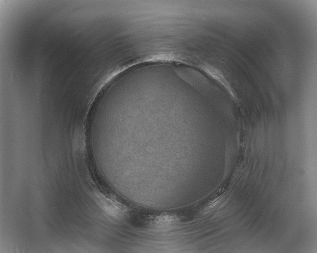 X0000068270204200604241306