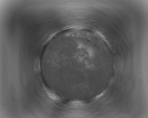 X0000068270205200604241306