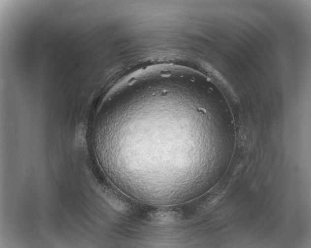 X0000068270209200604241306