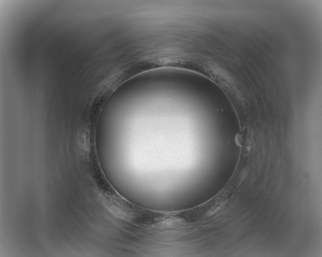 X0000068270210200604241306