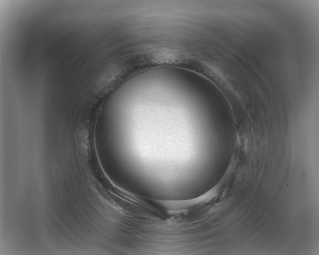 X0000068270211200604241306