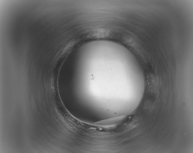 X0000068270212200604241306