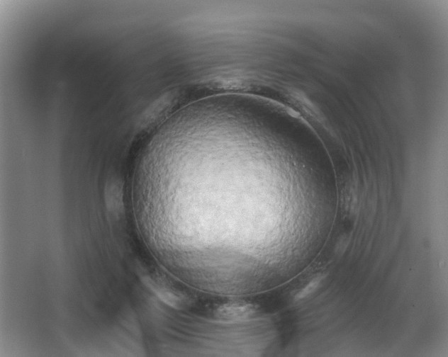 X0000068270213200604241306