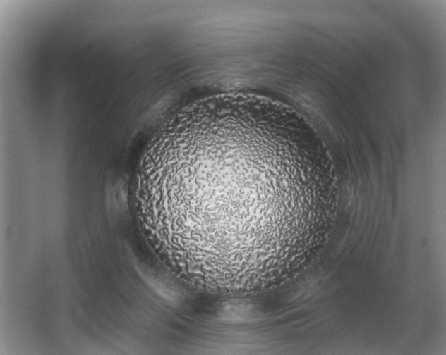 X0000068270214200604241306