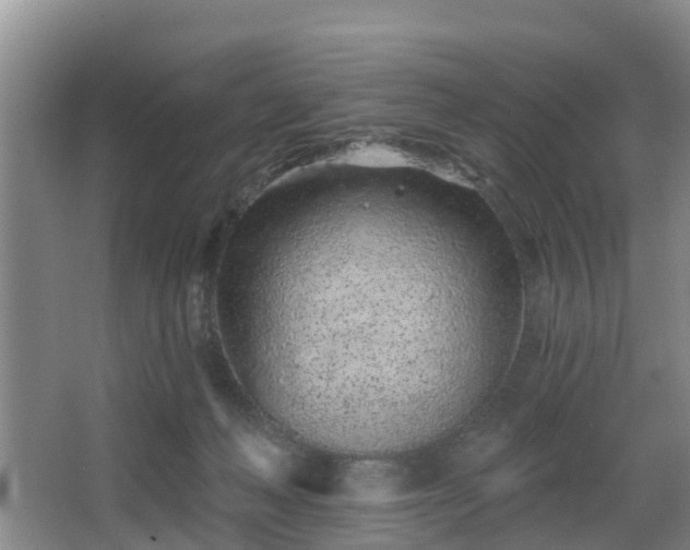 X0000068270222200604241306