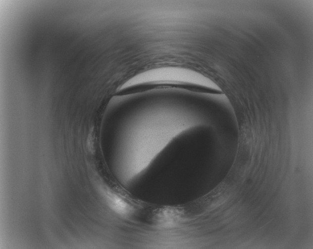 X0000068270223200604241306