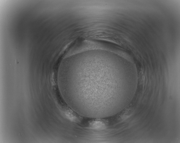 X0000068270224200604241306