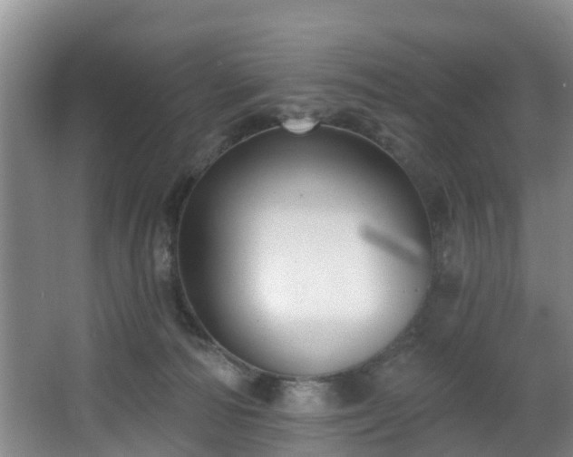 X0000068270226200604241306