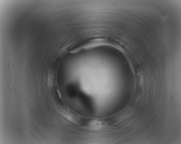 X0000068270227200604241306