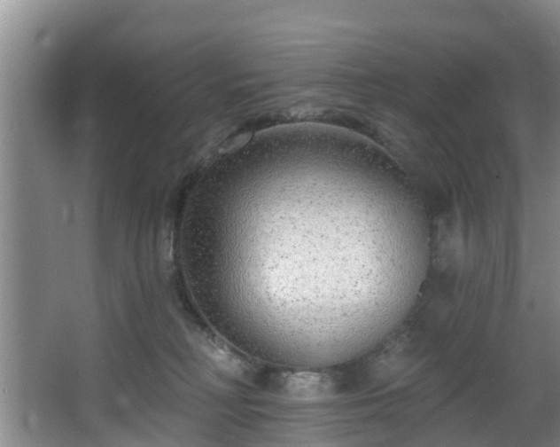 X0000068270230200604241306