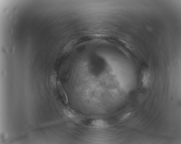 X0000068270231200604241306