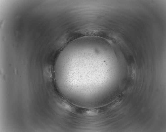 X0000068270232200604241306