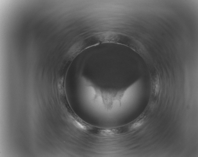 X0000068270239200604241306