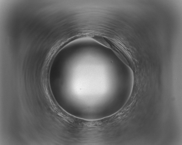 X0000068270241200604241305