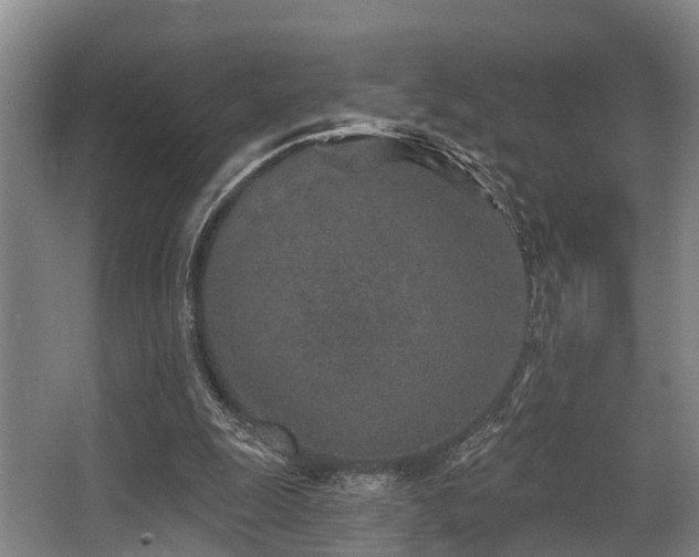 X0000068270247200604241305