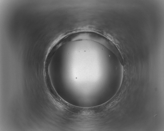 X0000068270248200604241305