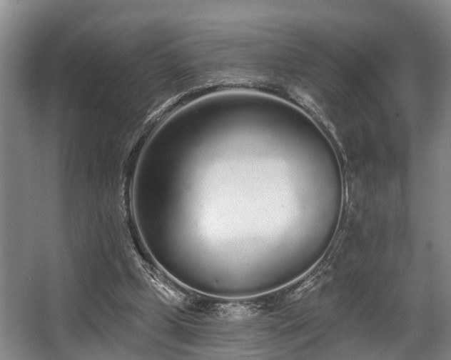 X0000068270249200604241305