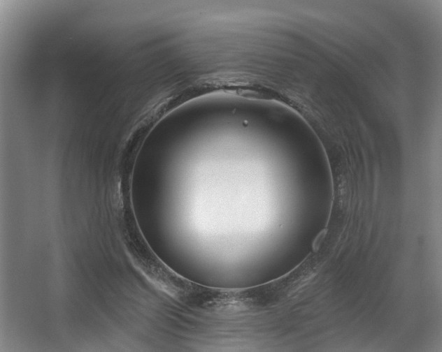 X0000068270254200604241305