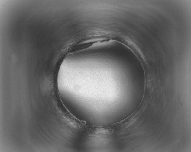 X0000068270257200604241305