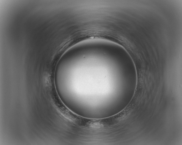 X0000068270258200604241305