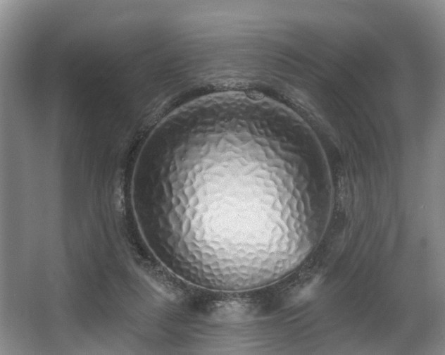 X0000068270259200604241305