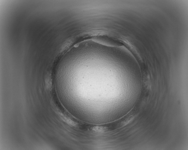 X0000068270261200604241305