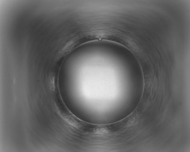 X0000068270262200604241305