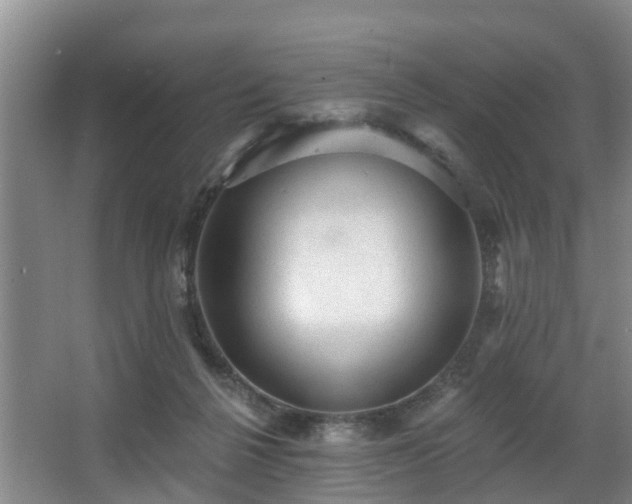 X0000068270264200604241305