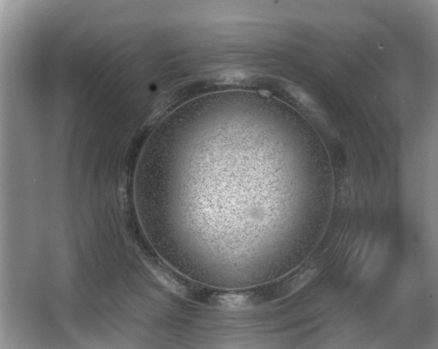 X0000068270265200604241305