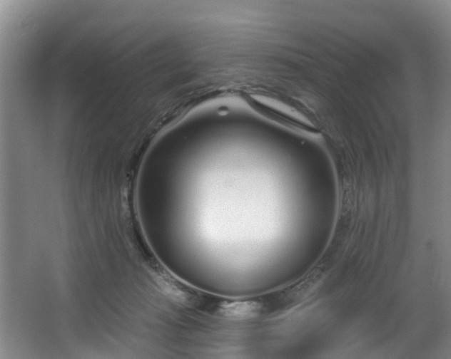 X0000068270269200604241305