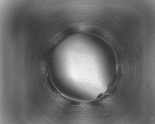 X0000068270270200604241305