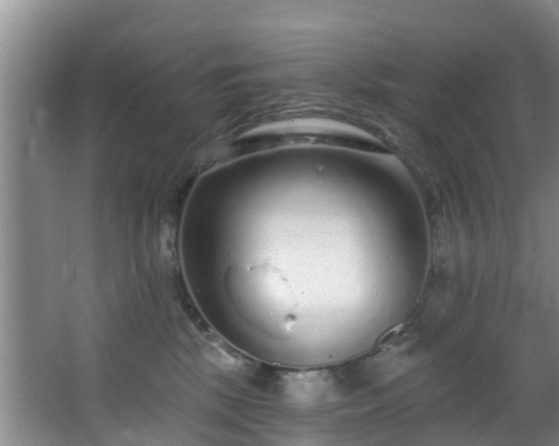 X0000068270281200604241306