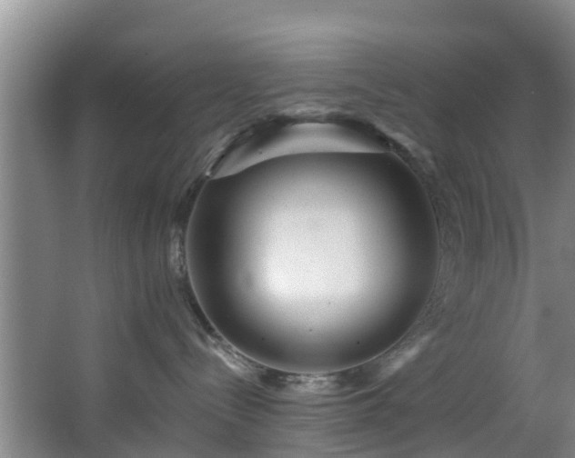 X0000068270288200604241306