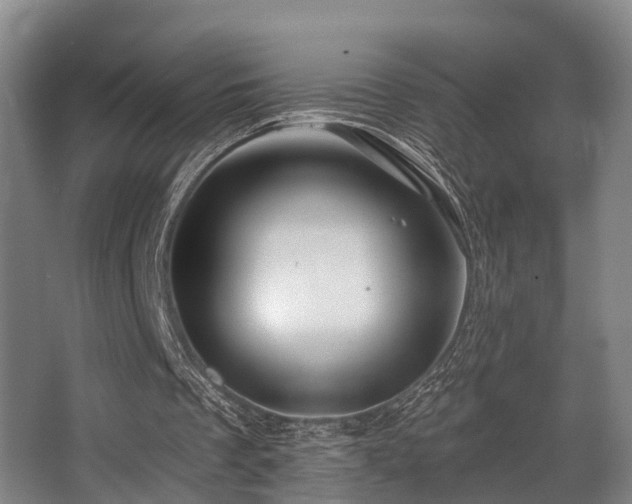 X0000068270289200604241305