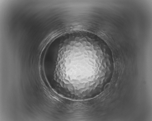 X0000068270290200604241305