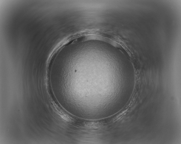 X0000068270293200604241305