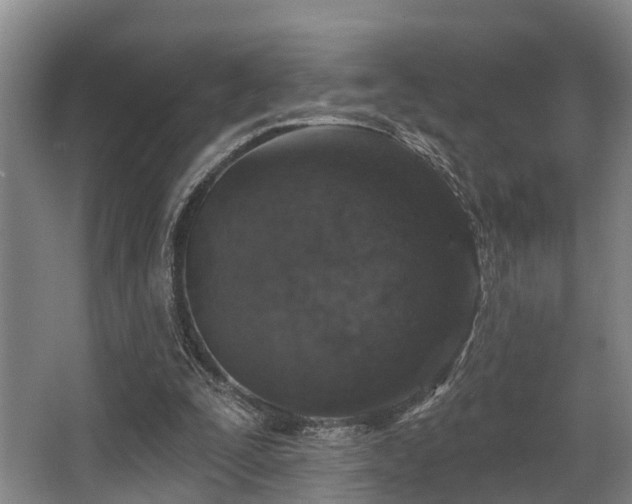 X0000068270295200604241305