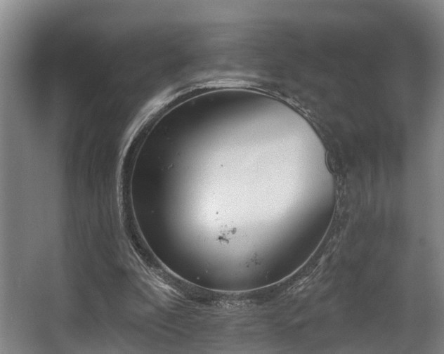 X0000068270296200604241305