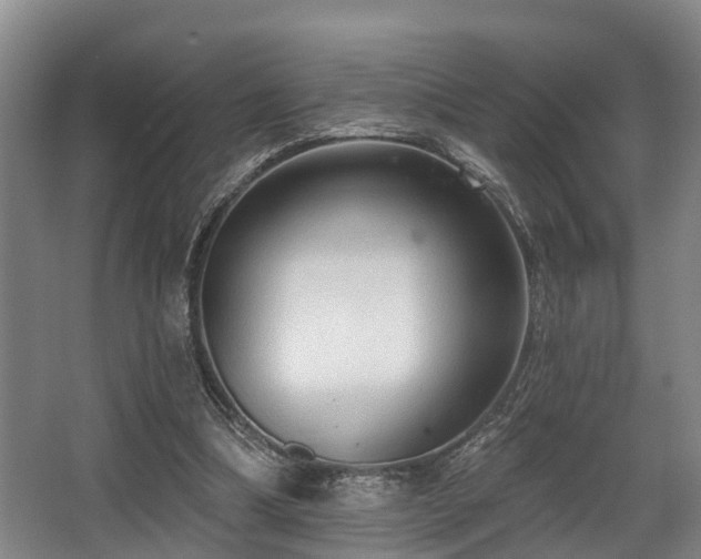 X0000068270298200604241305