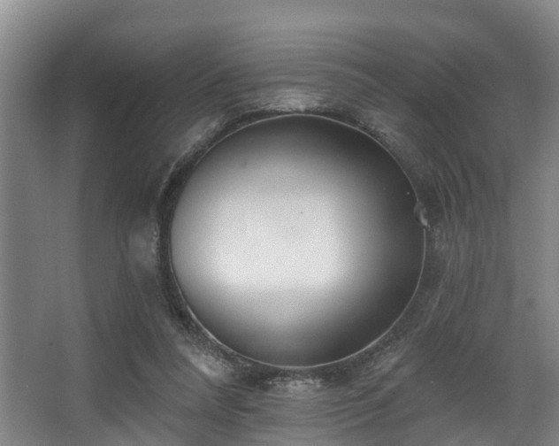 X0000068270304200604241305