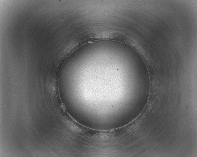 X0000068270305200604241305