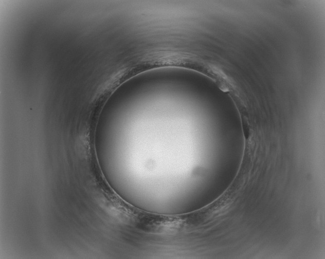 X0000068270306200604241305