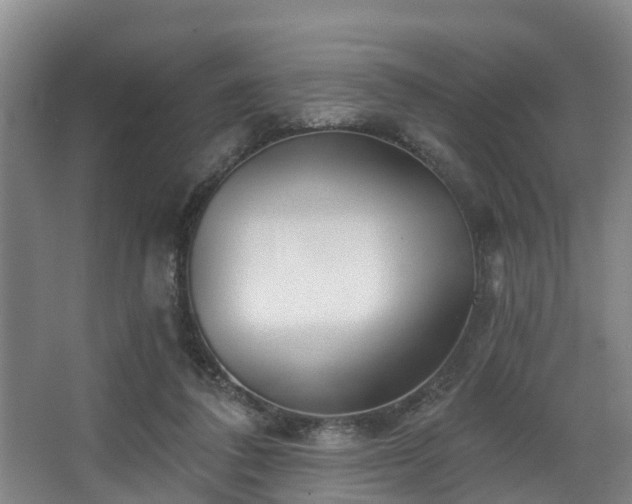 X0000068270308200604241305